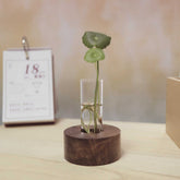 Desktop Hydroponic Decoration Minimalist Creative Test Tube Flower Stand